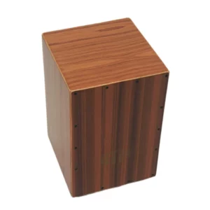 Cajon professionnel avec étui